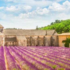 Tour in Provenza e Camargue