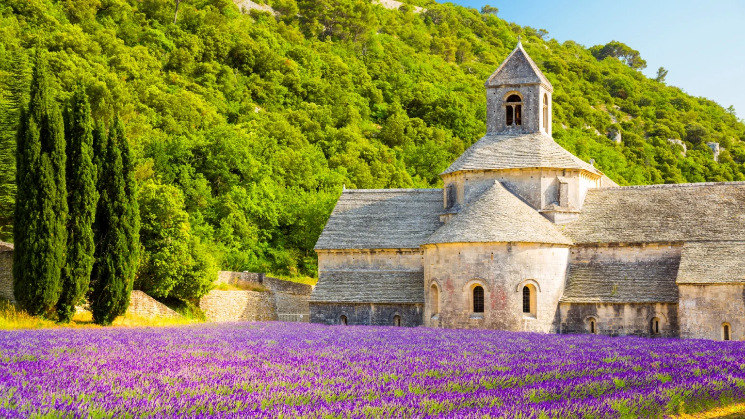 Weekend in Provenza per la fioritura della lavanda - Ovet