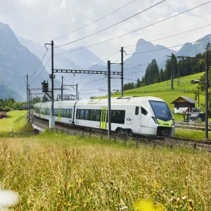 Gita con il treno verde delle Alpi - Ovet