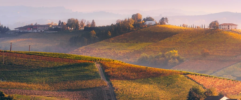 Weekend tra Langhe e Monferrato - Ovet