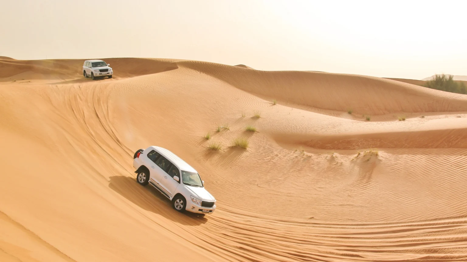 emirati arabi deserto dubai abu dhabi safari 4x4 dunebashing copia