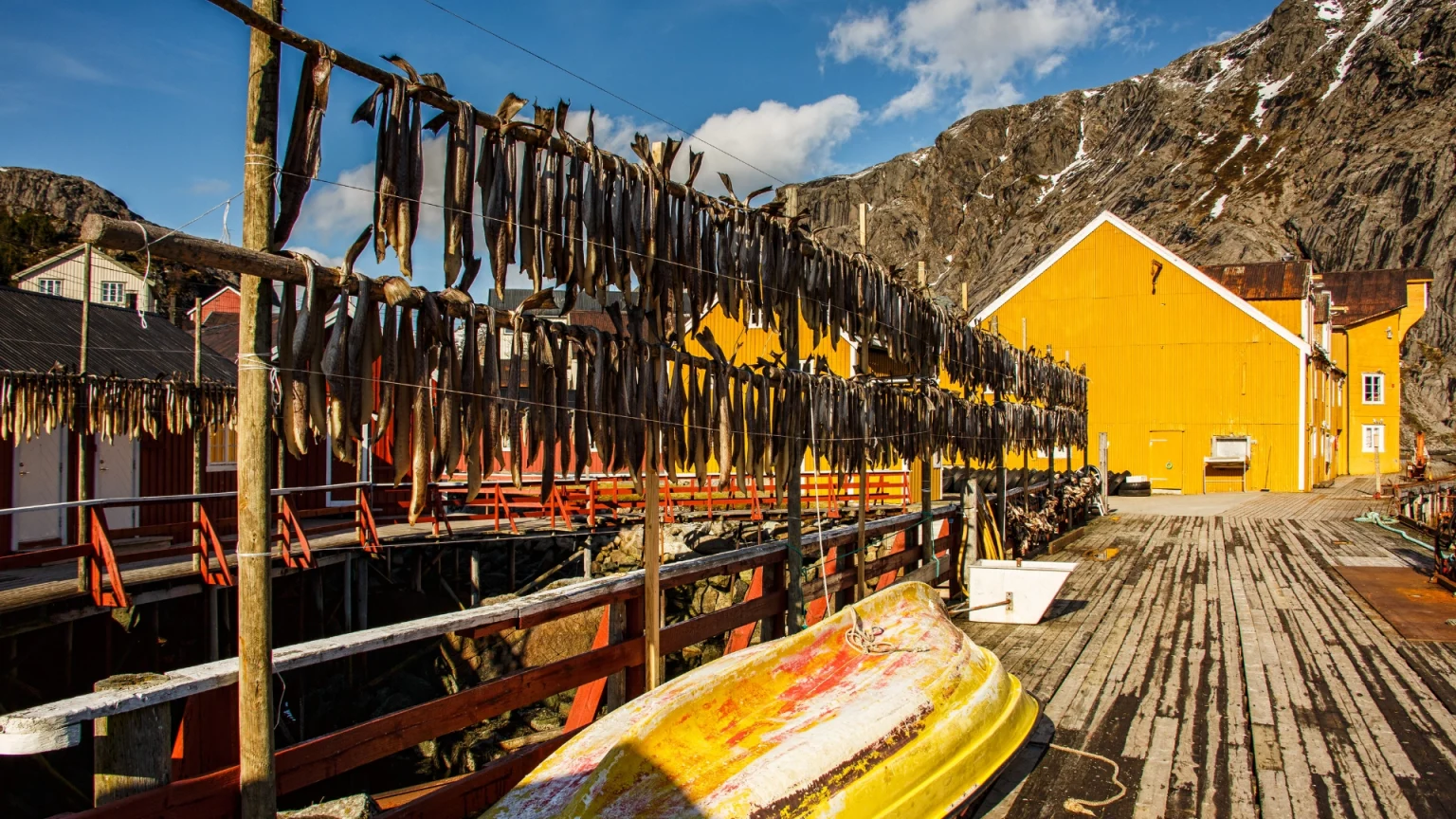 Tour organizzato Lofoten e Capo Nord - Ovet