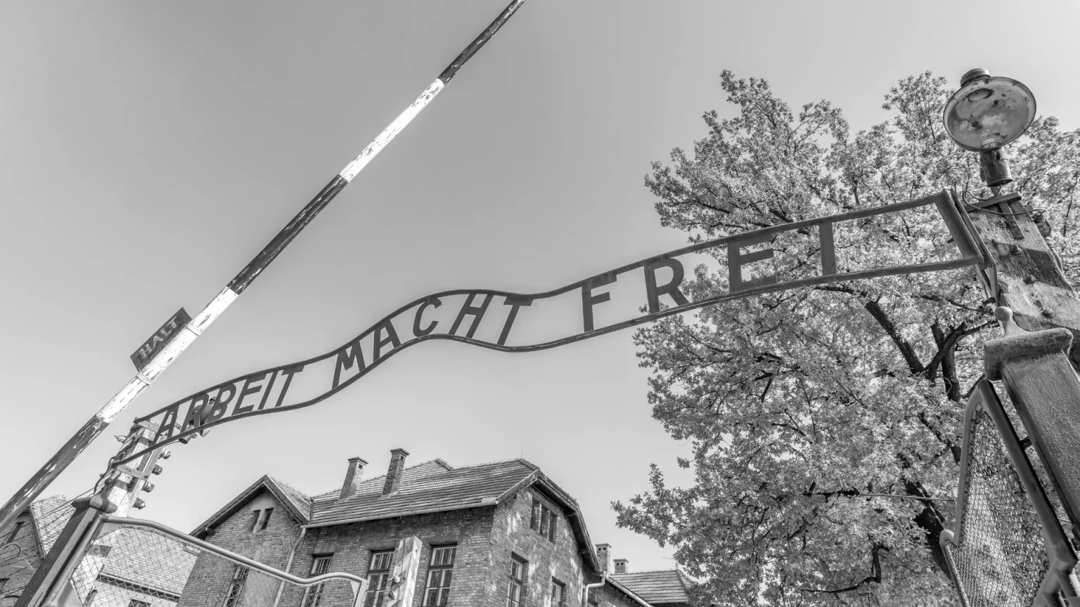 Tour in Polonia: Auschwitz