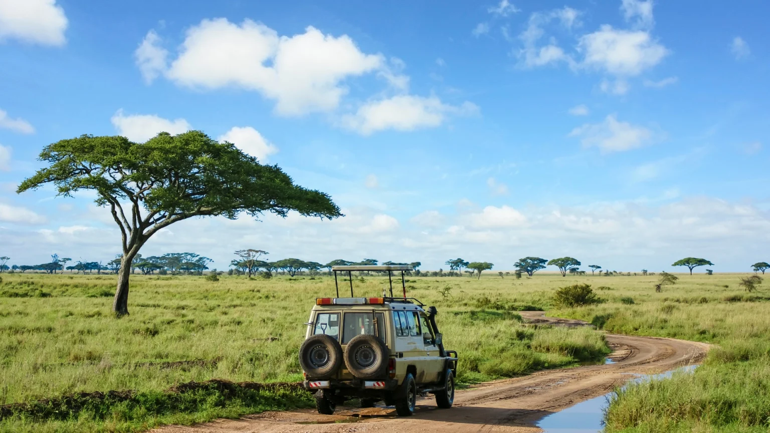 tanzania safari 4x4 serengeti panorama