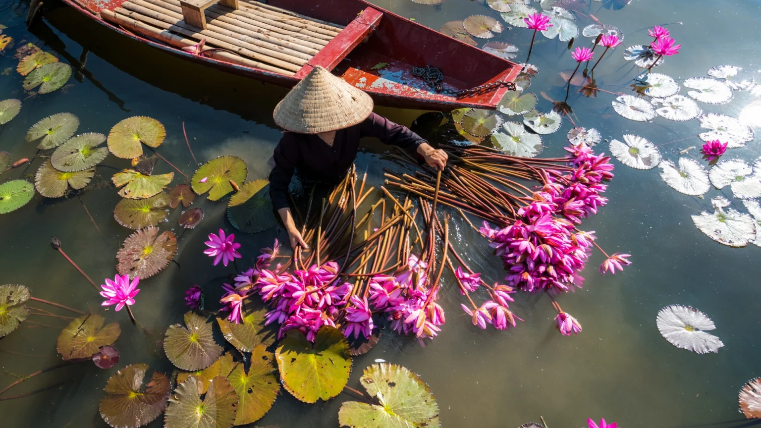 Viaggio di gruppo in Vietnam - Ovet