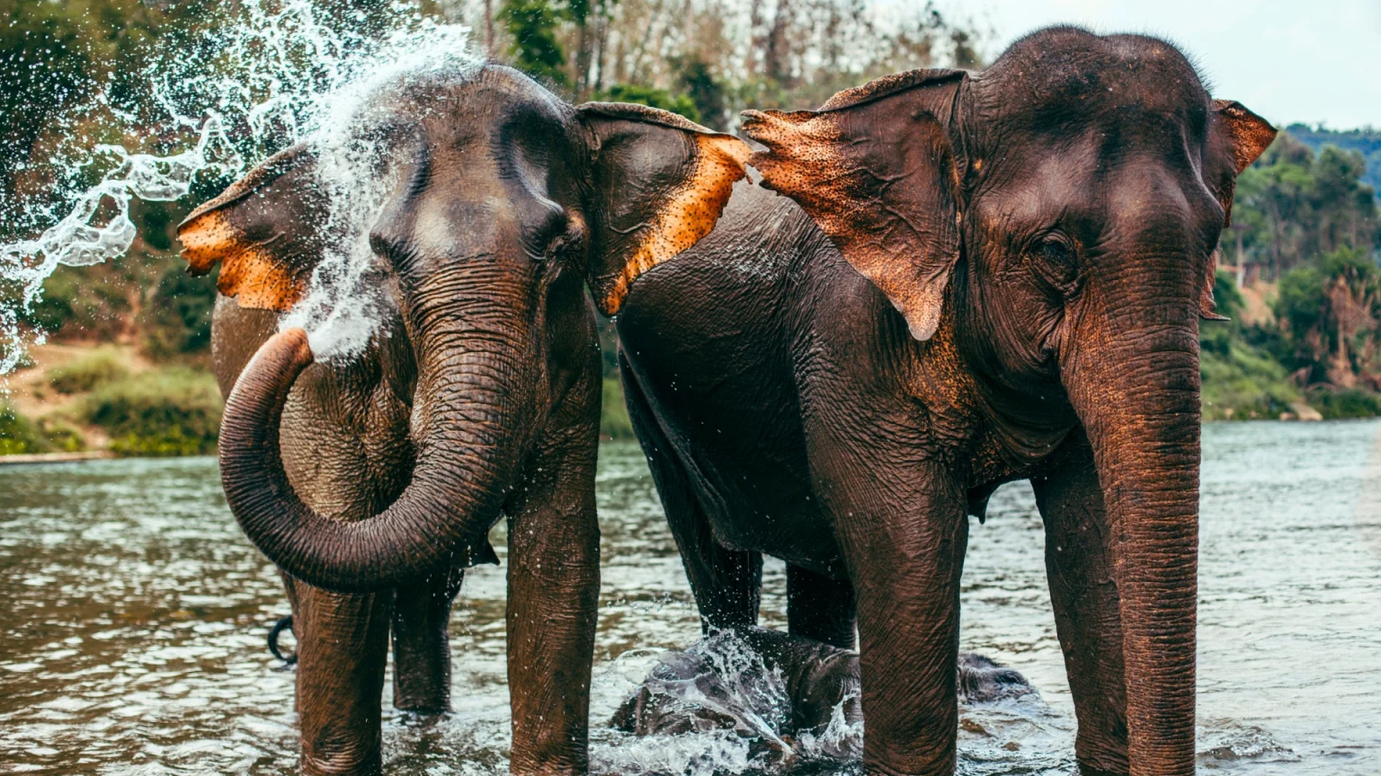 Viaggio di gruppo in Laos e Cambogia