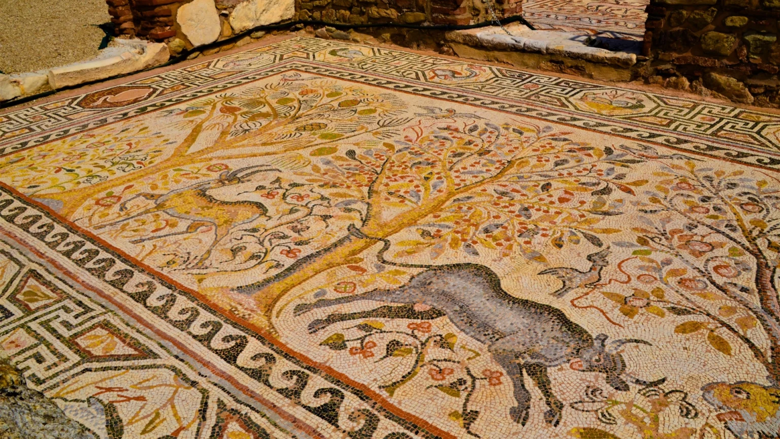 heraclea mosaico macedonia