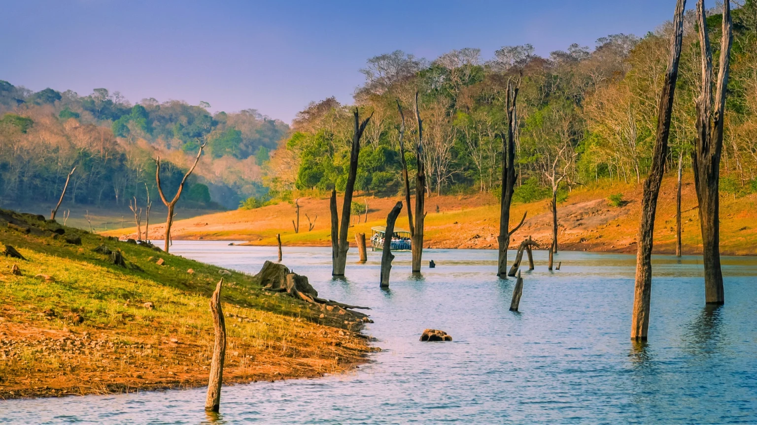 india kerala periyar