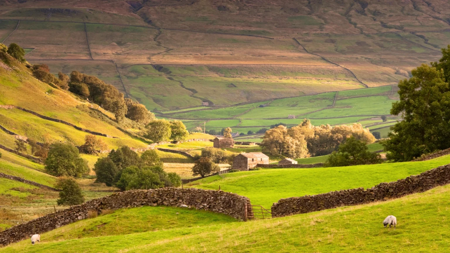 inghilterra yorkshire campagna