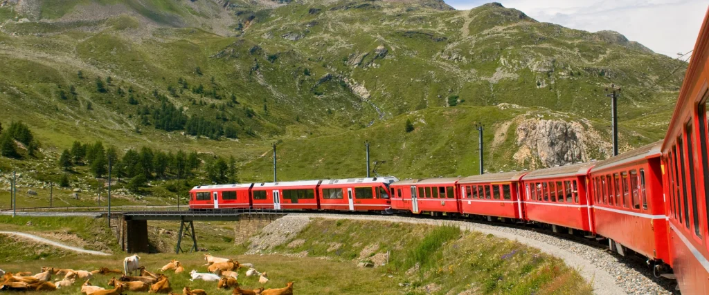 Gita con Trenino del Bernina - Ovet