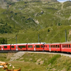 Gita con Trenino del Bernina - Ovet