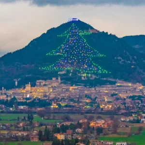 Tour in Umbria per l'albero di Natale di Gubbio - Ovet