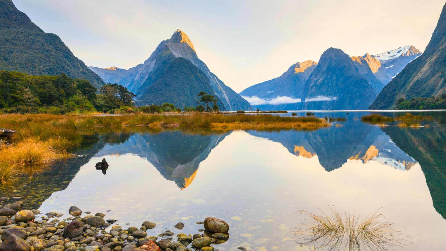 Tour di gruppo in Nuova Zelanda: Milford Sound