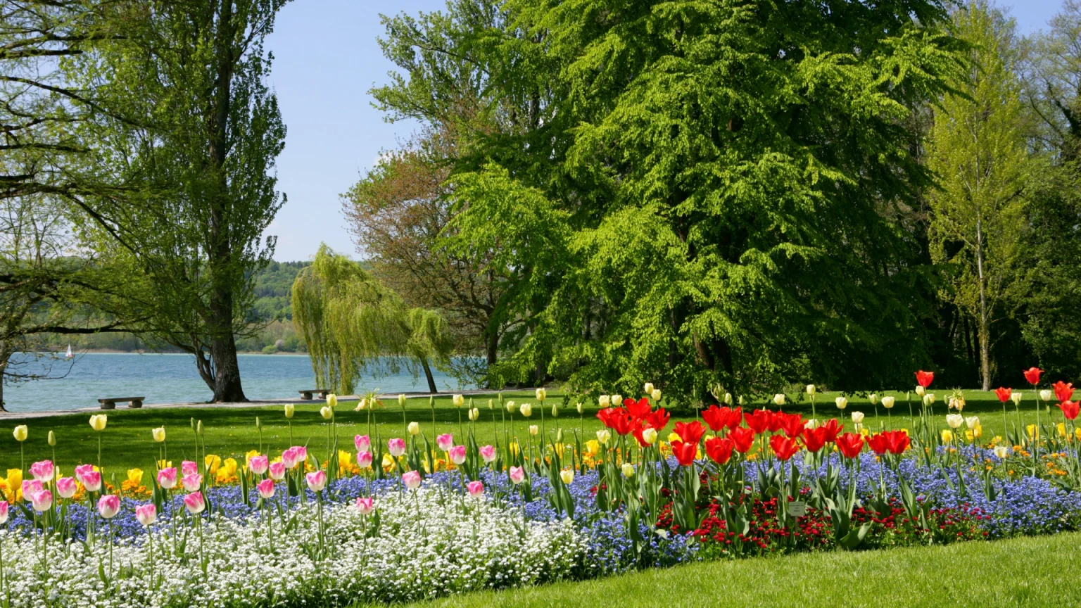 lago di costanza isola di mainau